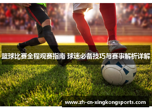 篮球比赛全程观赛指南 球迷必备技巧与赛事解析详解