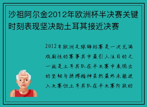 沙祖阿尔金2012年欧洲杯半决赛关键时刻表现坚决助土耳其接近决赛