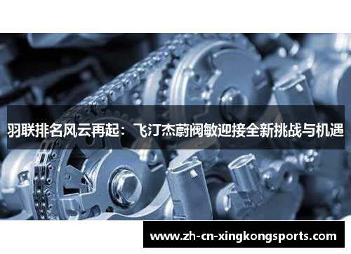 羽联排名风云再起：飞汀杰蔚阀敏迎接全新挑战与机遇