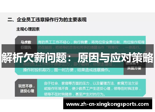 解析欠薪问题：原因与应对策略
