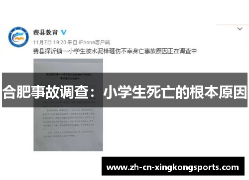 合肥事故调查：小学生死亡的根本原因