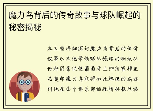 魔力鸟背后的传奇故事与球队崛起的秘密揭秘