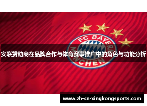 安联赞助商在品牌合作与体育赛事推广中的角色与功能分析